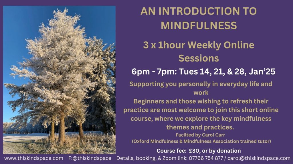 An Introduction to Mindfulness - Online